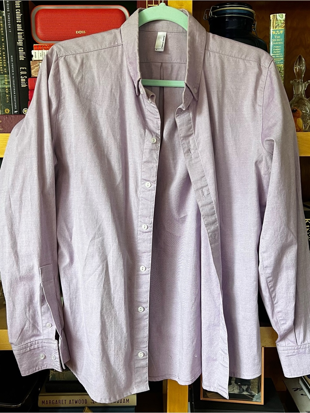 American Apparel Lavender Button-Down Dress Shirt